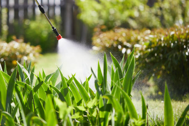 24/7 Emergency Ant Control experts in Vidalia, GA