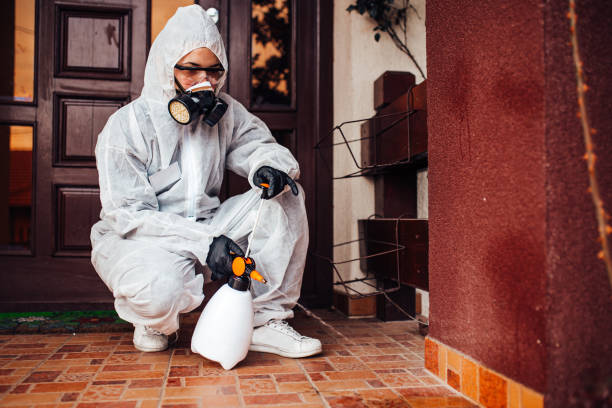 Reliable Ant Control contractor in Vidalia, GA by Nex Pest Control