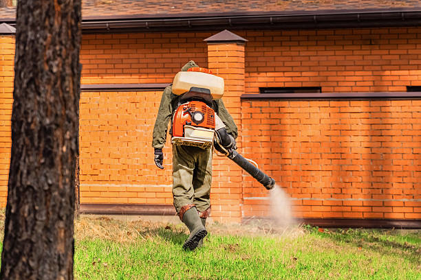 Trusted Cockroach Control service in Vidalia, GA - Nex Pest Control
